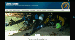 Desktop Screenshot of cambrianfoundation.org