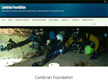 Tablet Screenshot of cambrianfoundation.org